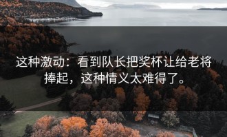 这种激动：看到队长把奖杯让给老将捧起，这种情义太难得了。