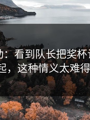 这种激动：看到队长把奖杯让给老将捧起，这种情义太难得了。