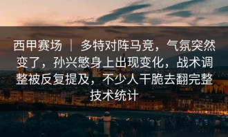 西甲赛场 ｜ 多特对阵马竞，气氛突然变了，孙兴慜身上出现变化，战术调整被反复提及，不少人干脆去翻完整技术统计