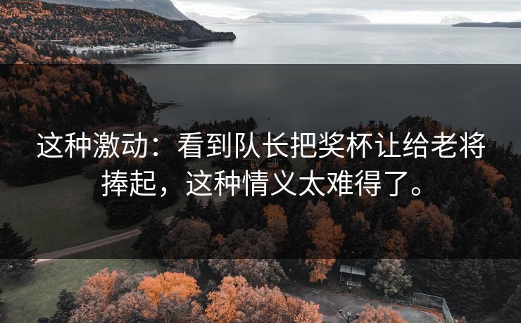 这种激动：看到队长把奖杯让给老将捧起，这种情义太难得了。