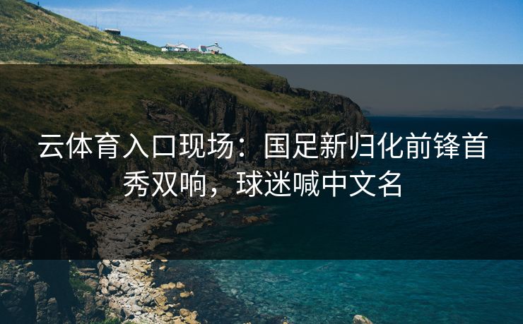 云体育入口现场：国足新归化前锋首秀双响，球迷喊中文名