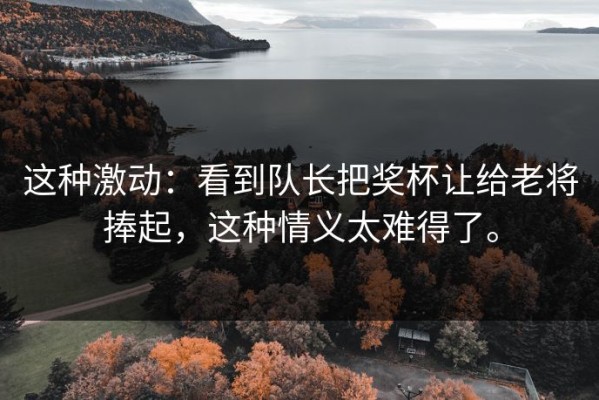 这种激动：看到队长把奖杯让给老将捧起，这种情义太难得了。