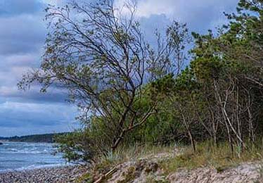 云开体育深度解析：为什么现代足球越来越难看？全是这些机器人的错！