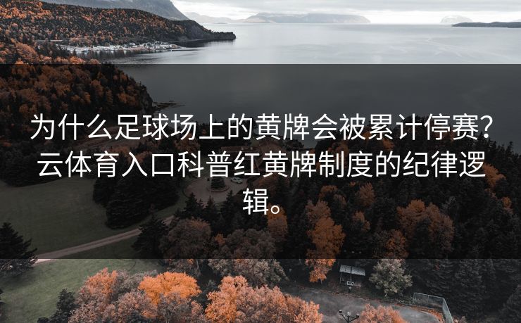 为什么足球场上的黄牌会被累计停赛？云体育入口科普红黄牌制度的纪律逻辑。